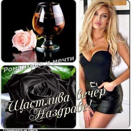 Къща За Гости "Черната Роза" Bŭlgarevo Buitenkant foto